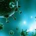 Чем опасны вирусные инфекции Наиболее опасные вирусные заболевания человека
