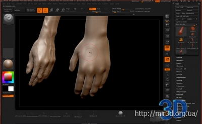 ZBrushworkshops - Fundamentals Of Anatomy Arm And Leg