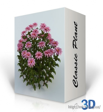 Classic Plant: 3D-модели декоративных цветов